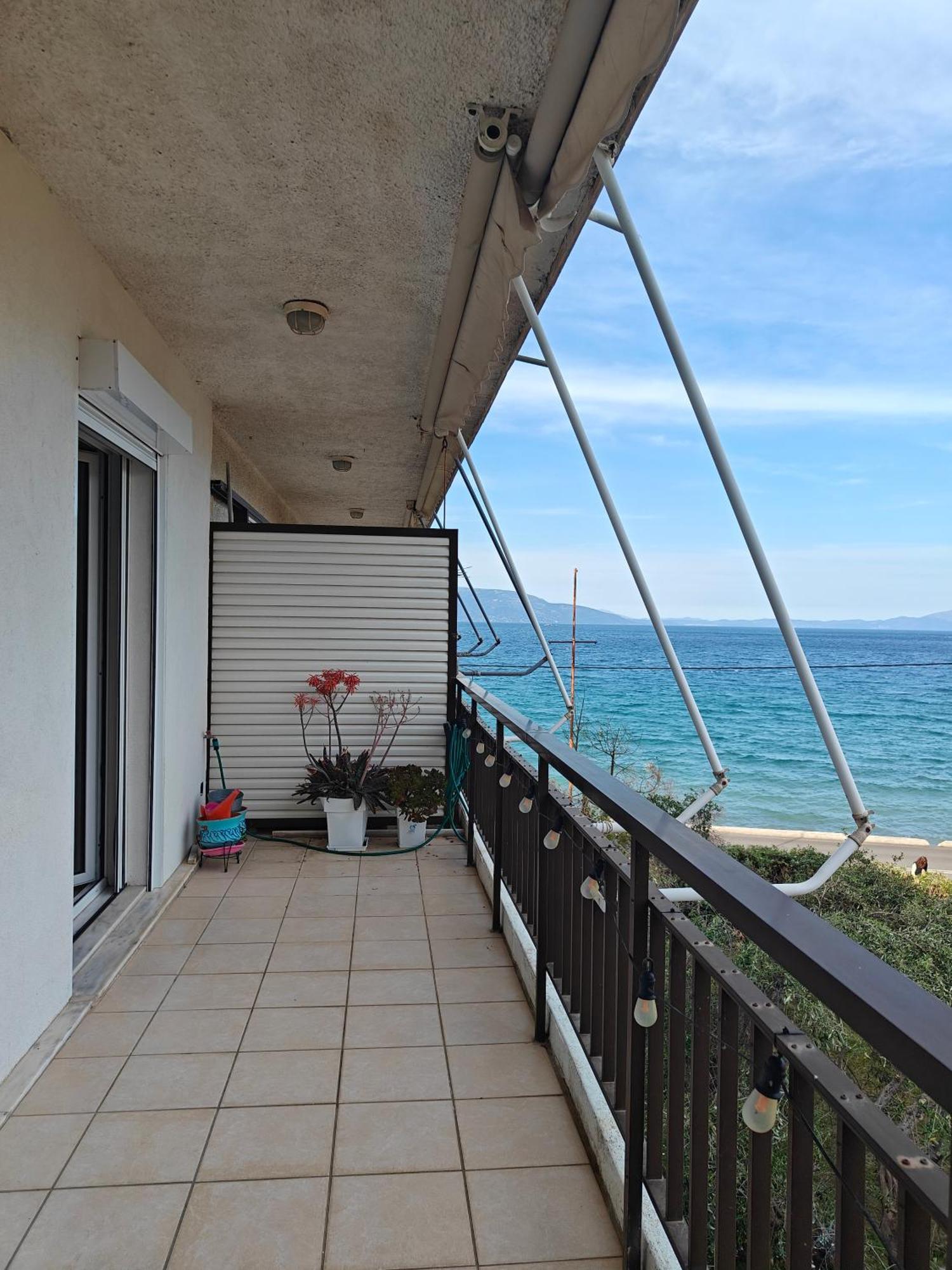 Thanos' Seaside Apartment 오로포스 외부 사진